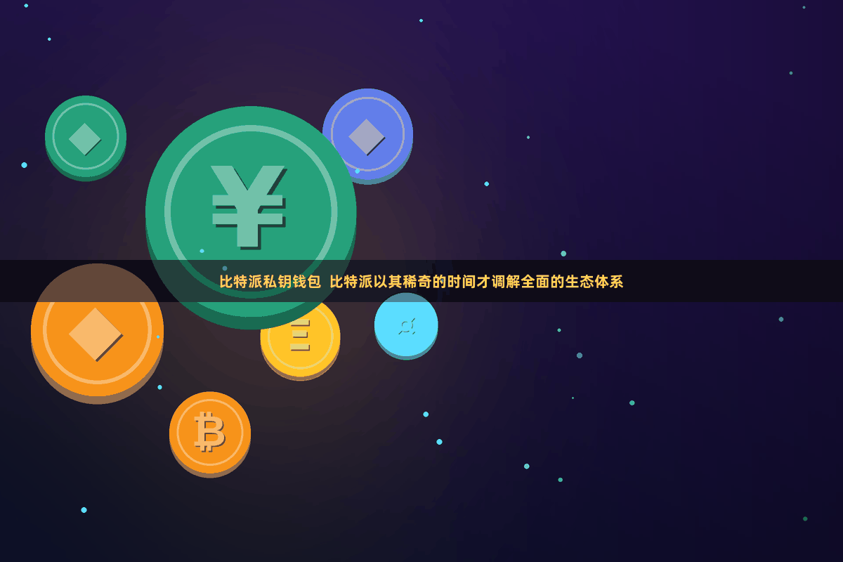 比特派私钥钱包  比特派以其稀奇的时间才调解全面的生态体系